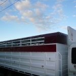 Cattle Truck Tarpaulins